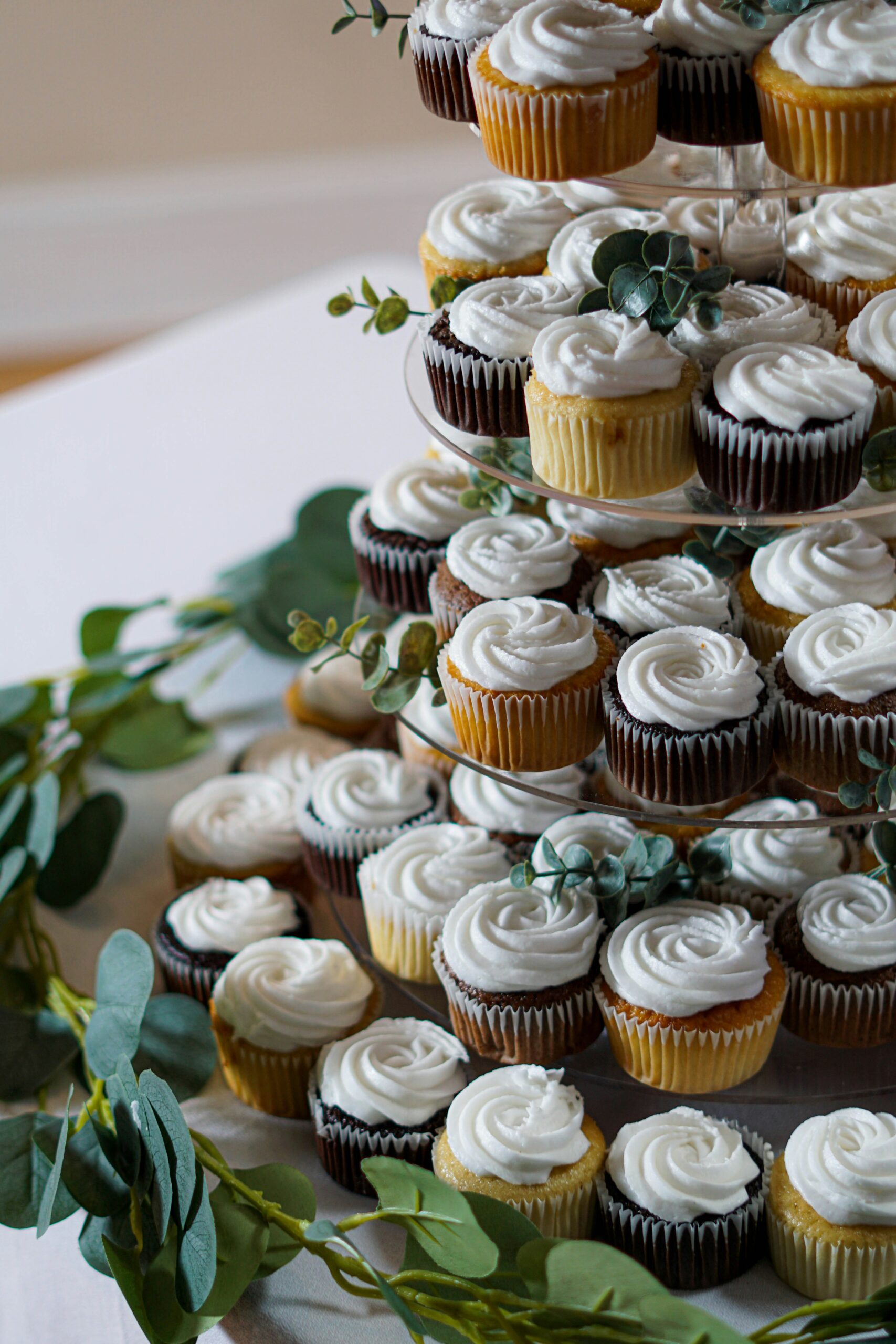cup cakes bunch 1